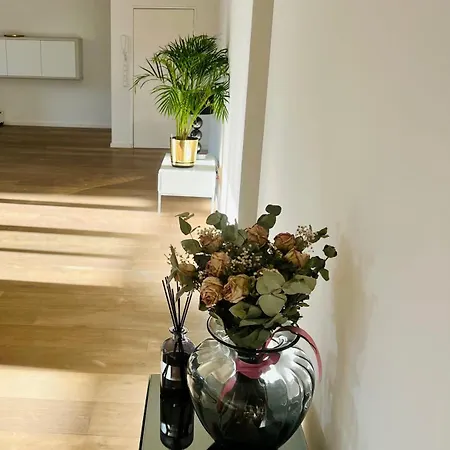 Happy Shared * Berlim